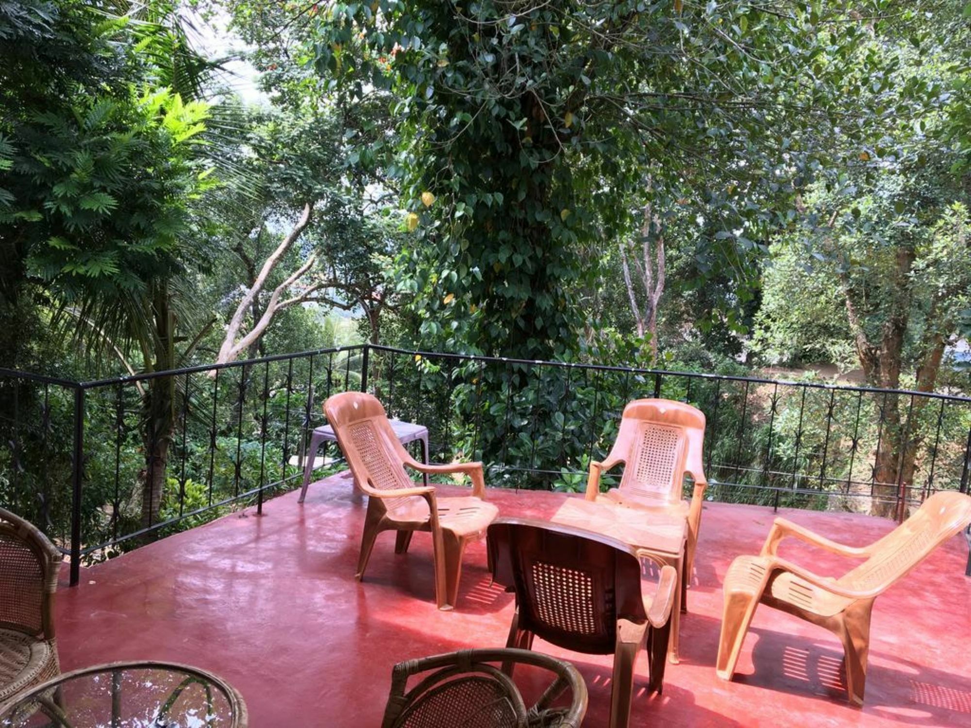 Kandy Shady Trees Villa Ngoại thất bức ảnh