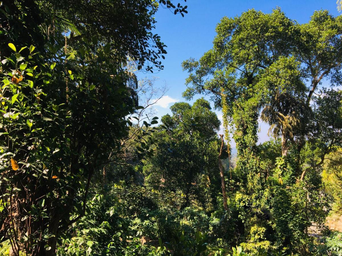 Kandy Shady Trees Villa Ngoại thất bức ảnh